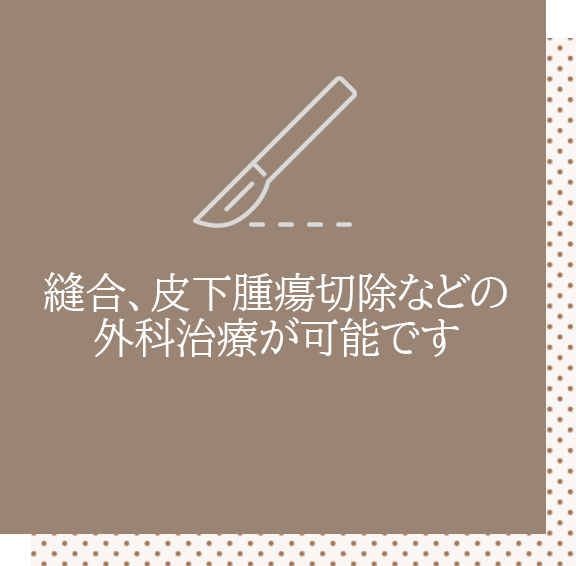 縫合、皮下腫瘍切除などの外科治療