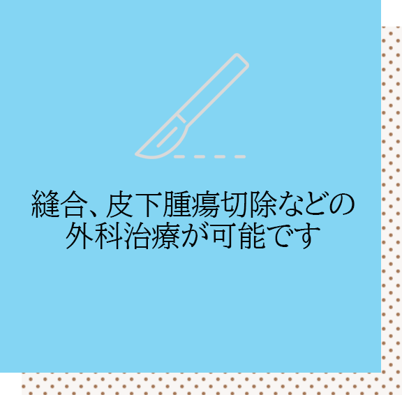 縫合、皮下腫瘍切除などの外科治療
