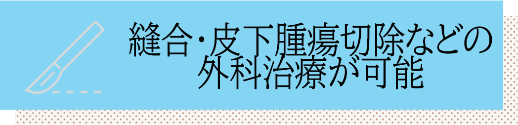縫合・皮下腫瘍切除などの 外科治療が可能